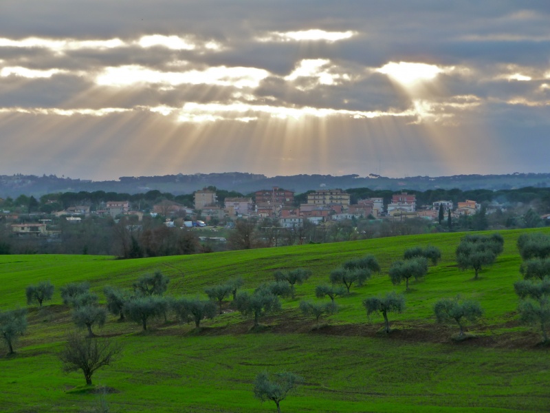 Valle Muricana